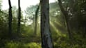 design 3d game environment game level design in unreal engine or unity