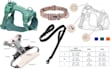 pet harness tech pack design harness designer collar tech pack designer leash