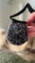 create ugc for pet products with my big dog