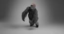 create realistic 3d animal animation, 3d creature design, animal model, fur