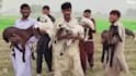 wish happy birthday video