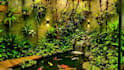 design your garden landscape and outdoor space visualization