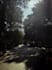 adjust, color correct, and improve your images