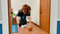 edit funny roblox and minecraft videos for youtube