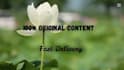 provide fast and accurate typing and content writing