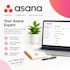 set up and automate your asana workspace