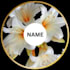create an eye catchy logo for the brand