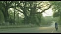 color grade your short film professionally