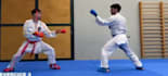 analyze your karate kumite technique using biomechanics