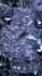 lifelike do 3d water simulation, 3d fluid simulation particles, for your project