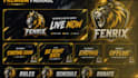 design animated overlay, stream overlay and static  overlay