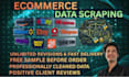 do product scraping and scrape ecommerce websites for you