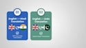 english hindi urdu translation expert