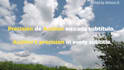 create professional dynamic subtitles