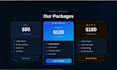 build a professional website