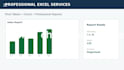 create professional excel spreadsheets, formulas and reports