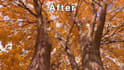 improve, upscale, denoise, and enhance your video