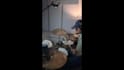 record professional live drums for your song
