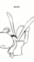 create stickman animation and stick figure animation explainer videos