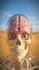 create dr data style skeleton shorts