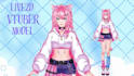 design and rig vtuber model live2d anime vtuber model rigging for vtube studio