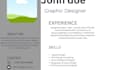 design a professional resume CV or career document
