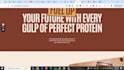 design development your wordpress website