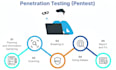 perform professional website penetration testing and security audit