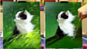 paint a pet oil painting on canvas with free shipping