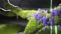 create cinematic 3d motion design and product animation