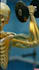 create dr data style ai skeleton animation shorts