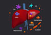 create premium 3d environment and product