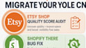 do esty shop quality score audit shopify theme bug fix store migration planning