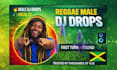 produce reggae dj drops with effects