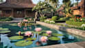 design a modern javanese tropical tiny house or eco villa