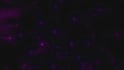 design animated logo, banners, overlays, panels for twitch streamers