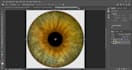 create iris design templates for your business