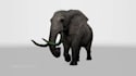 do 2d and 3d character animation and game character rigging in blender