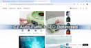 build pro shopify dropshipping store  cj ready to sell