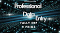 do professional data entry, ms excel and tally erp 9 work