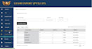 customize accounting software for your business