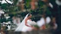 edit cinematic wedding video, wedding highlight, wedding film