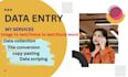 do accurate data entry  typing  copy paste  and excel work