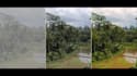 do professional video color correction and color grading
