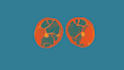 create fluid rotoscope animation