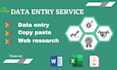 do data entry, copy paste and web scrapping