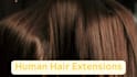 write articles on hair wigs and hair extensions