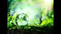 do articles in biology and environmental science