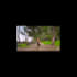 create and add mind bowling visual effects and graphics to your video