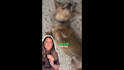 create relatable ugc videos for your social media